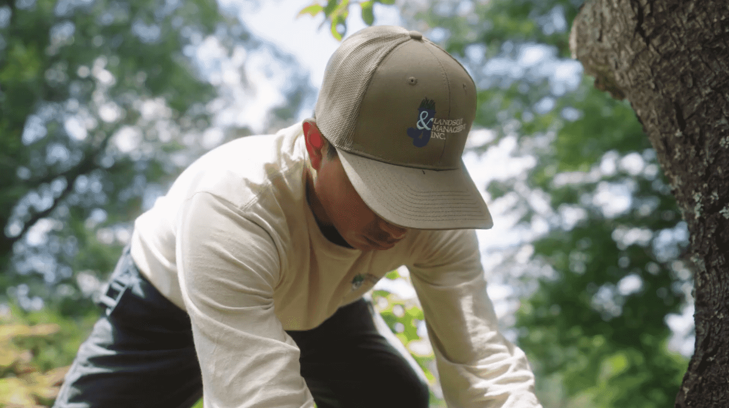 Landscape Maintenance and lawn care in Fort Hunt, VA, Herndon, VA.png