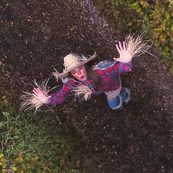 Toverland Halloween Days Commercial (2018)