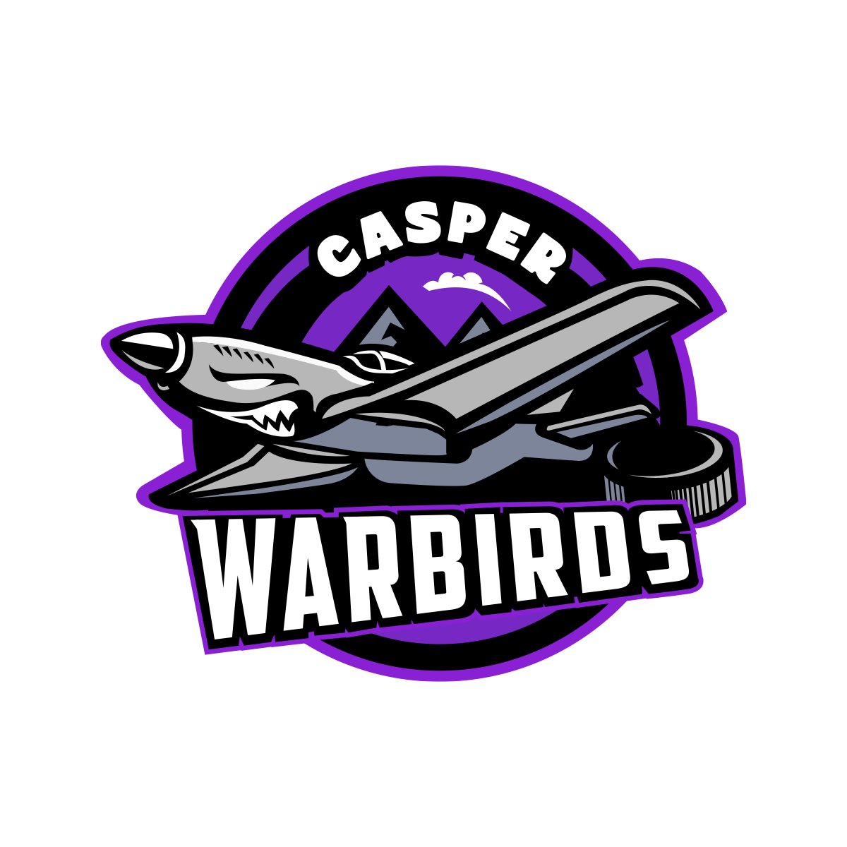 Casper Warbirds