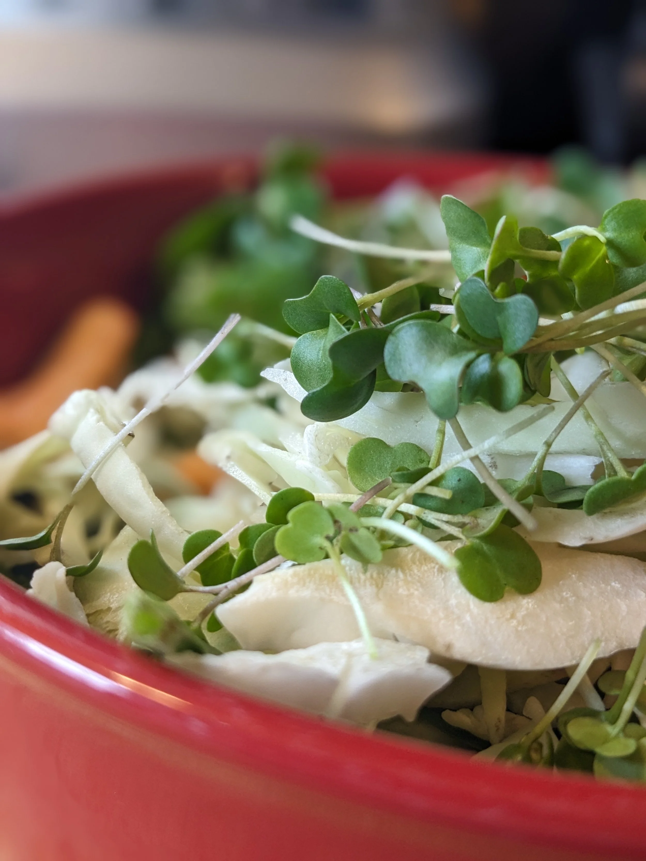 Arugula Microgreens (Rocket)