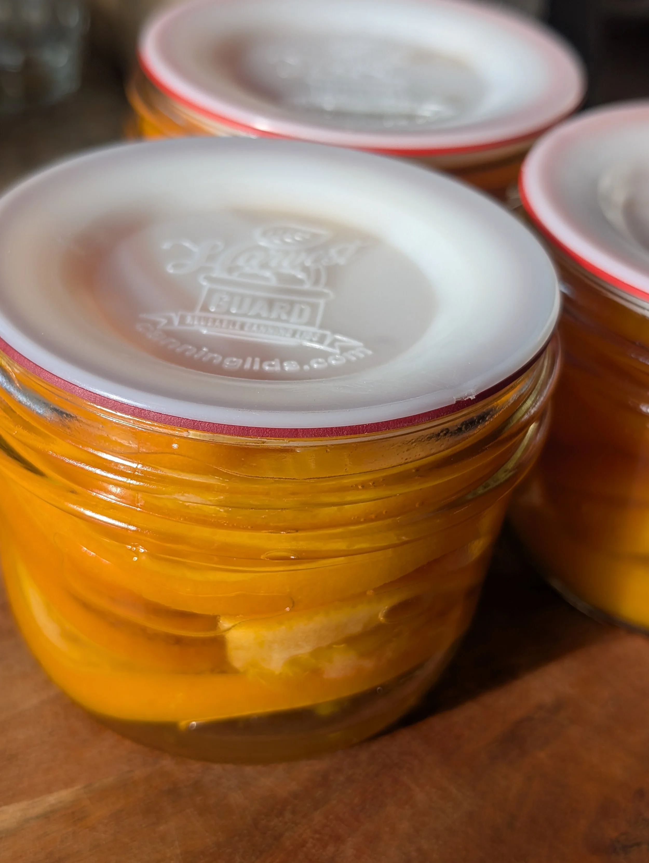 Sliced oranges canned in a honey syrup, perfect for adding to hot tea
