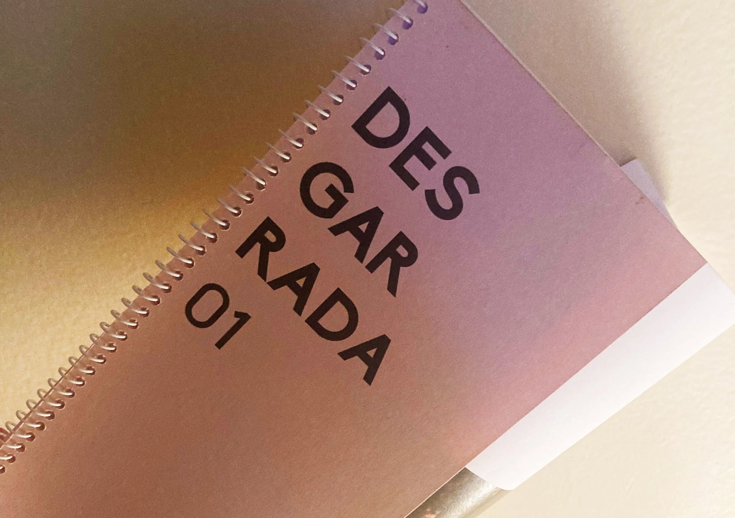 Portfolio_site_desgarrada1.jpg