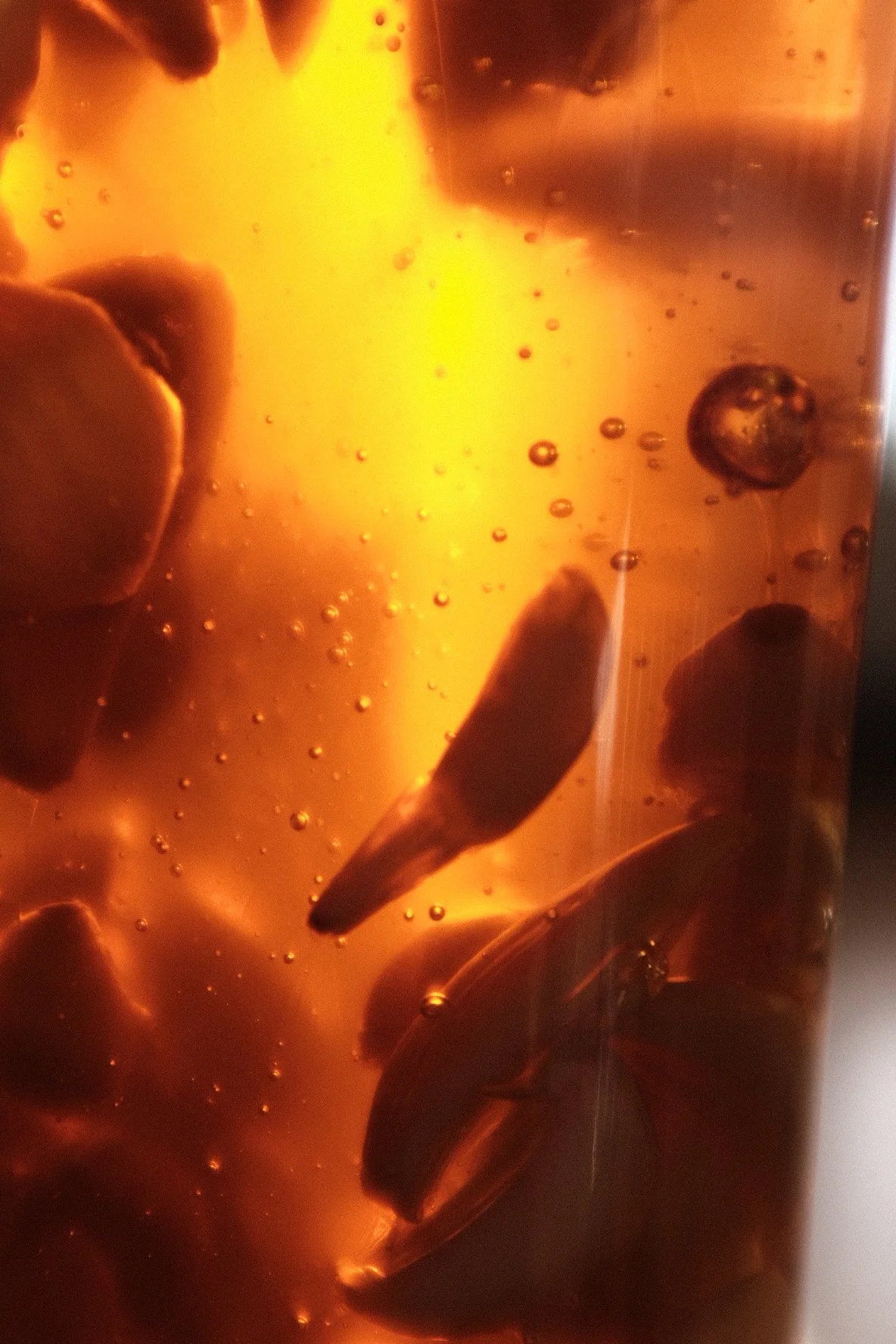 Fermented Garlic Honey