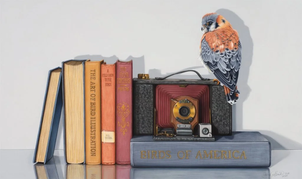 Still life with bird pastel drawing by Deana Goldsmith