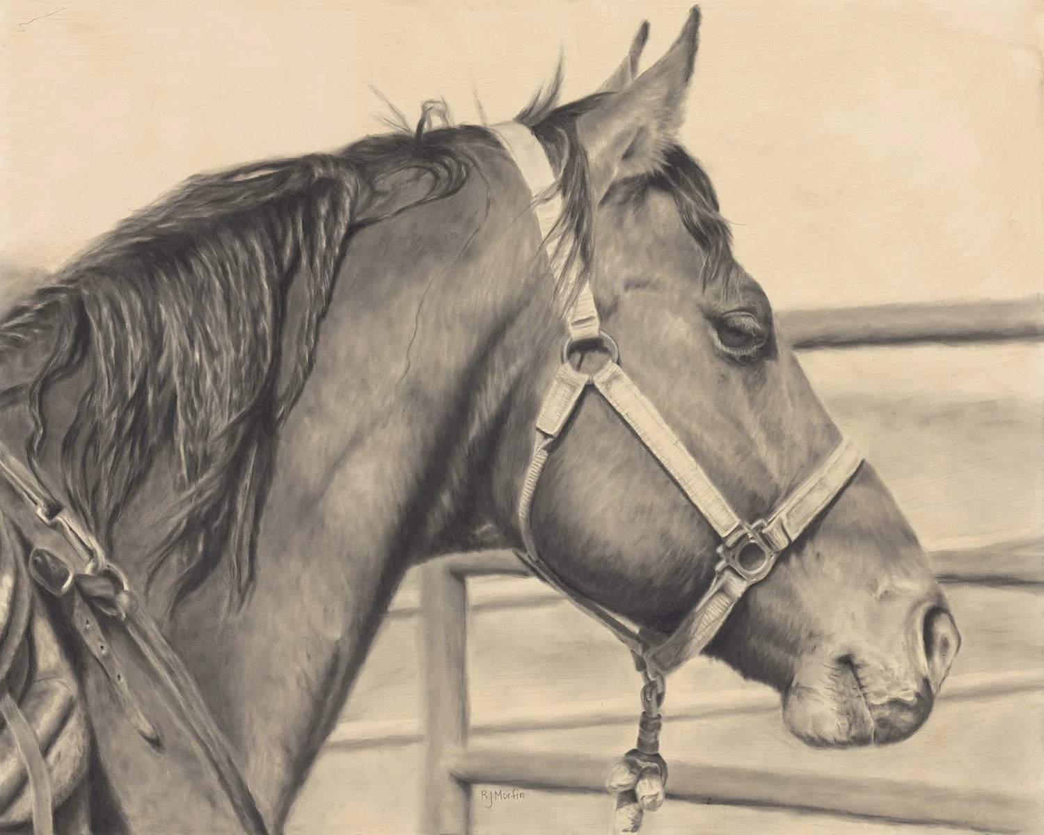 "Starr Valley Bay"  Charcoal, by Rhonda Morfin