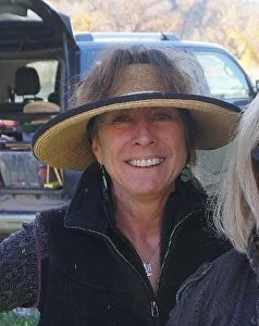 Susan Hediger Matteson • Colorado • waow