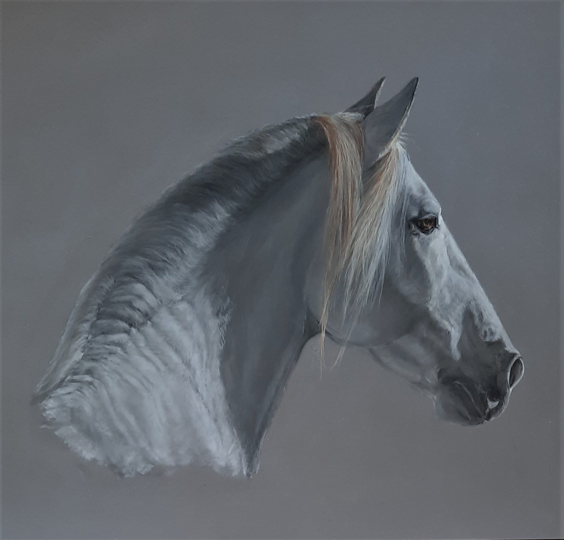 "Noble"  Pastel, By Nancy Smyth