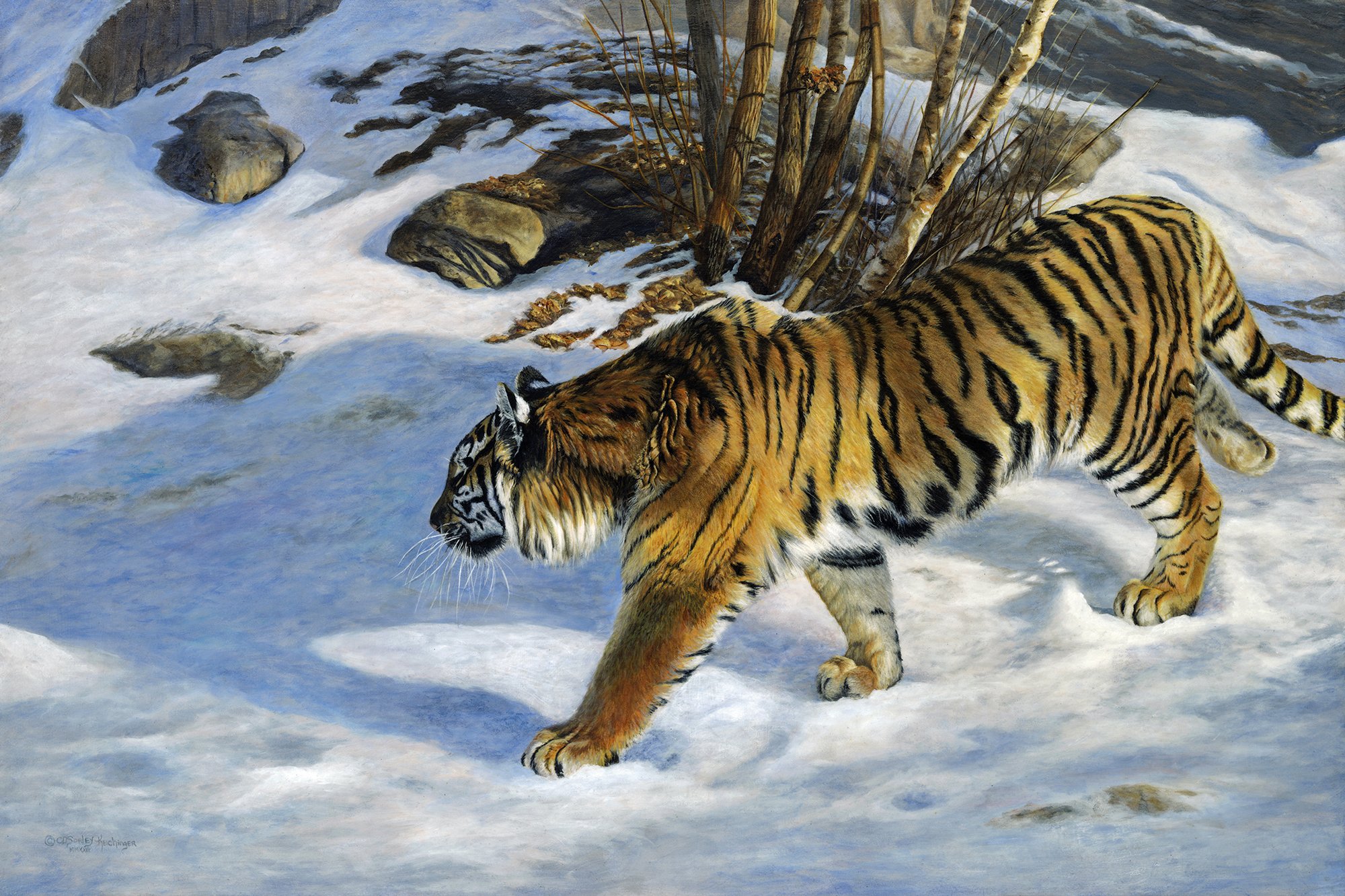 Painting of a tiger prowling in the snow by Cindy Sorley-Keichinger