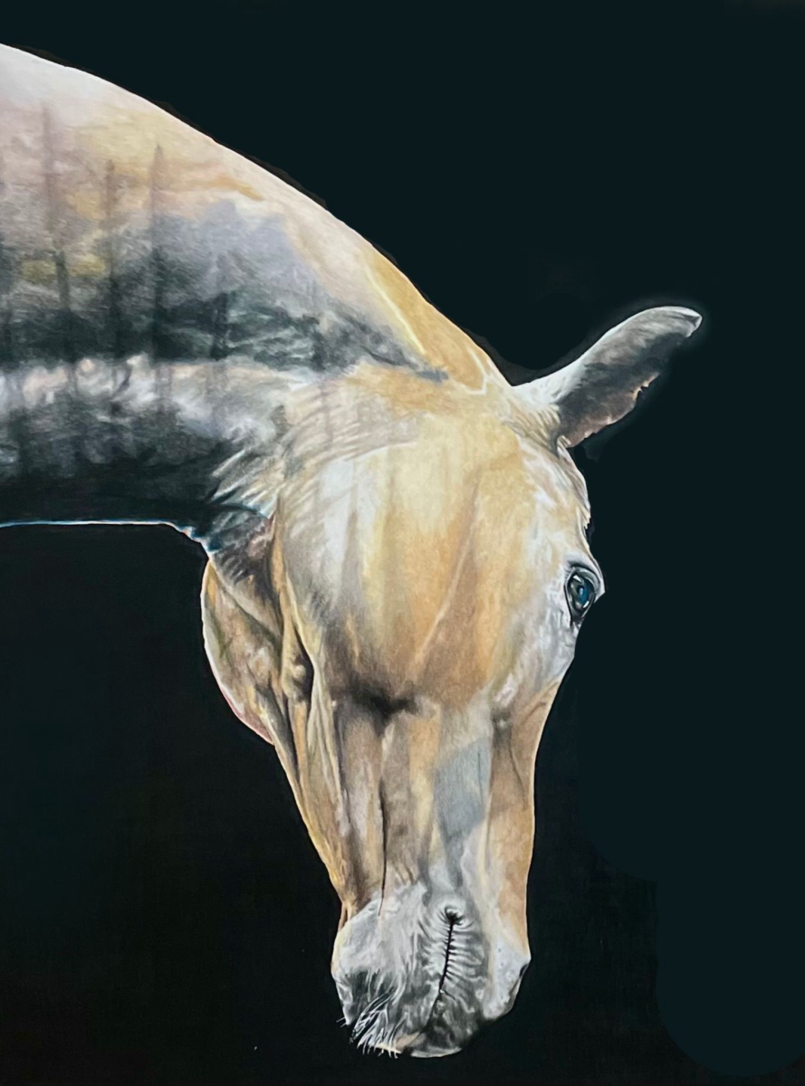 "Athena In Shadow" Colored Pencil, by Nancy Allen