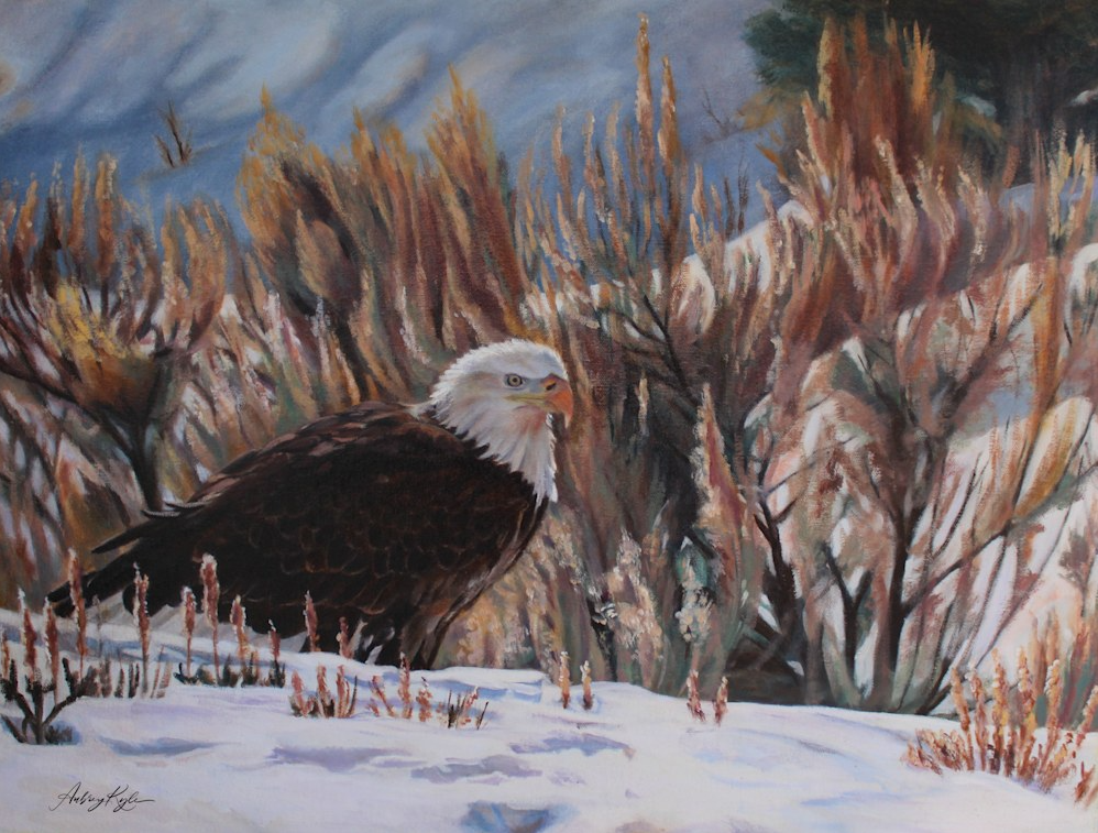 Bald eagle painting by Aubrey Kyle