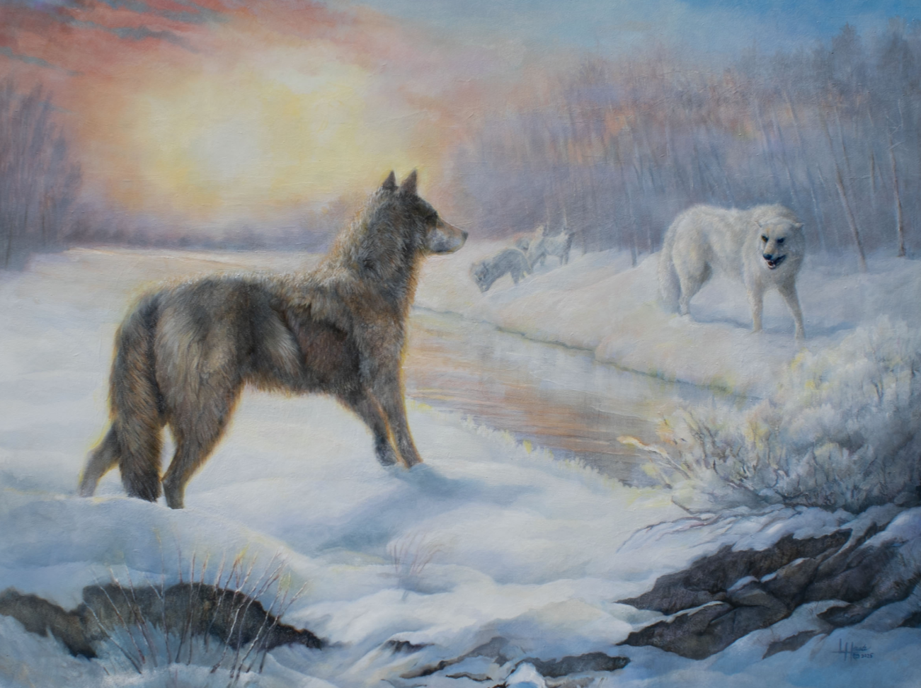 Lynn Haste • Montana• waow