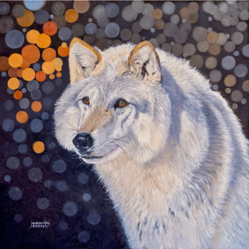 Wolf portrait by Jan McKay