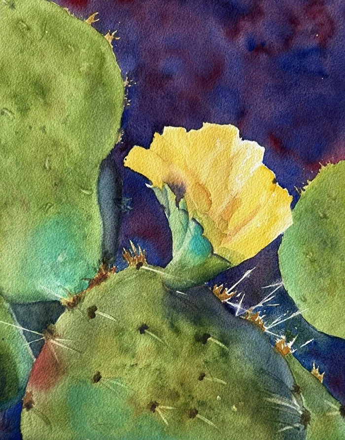 Prickly Pear Cactus bloom