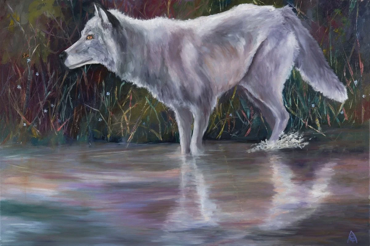 "Wolf Reflections" Oil, By Mary Arnold