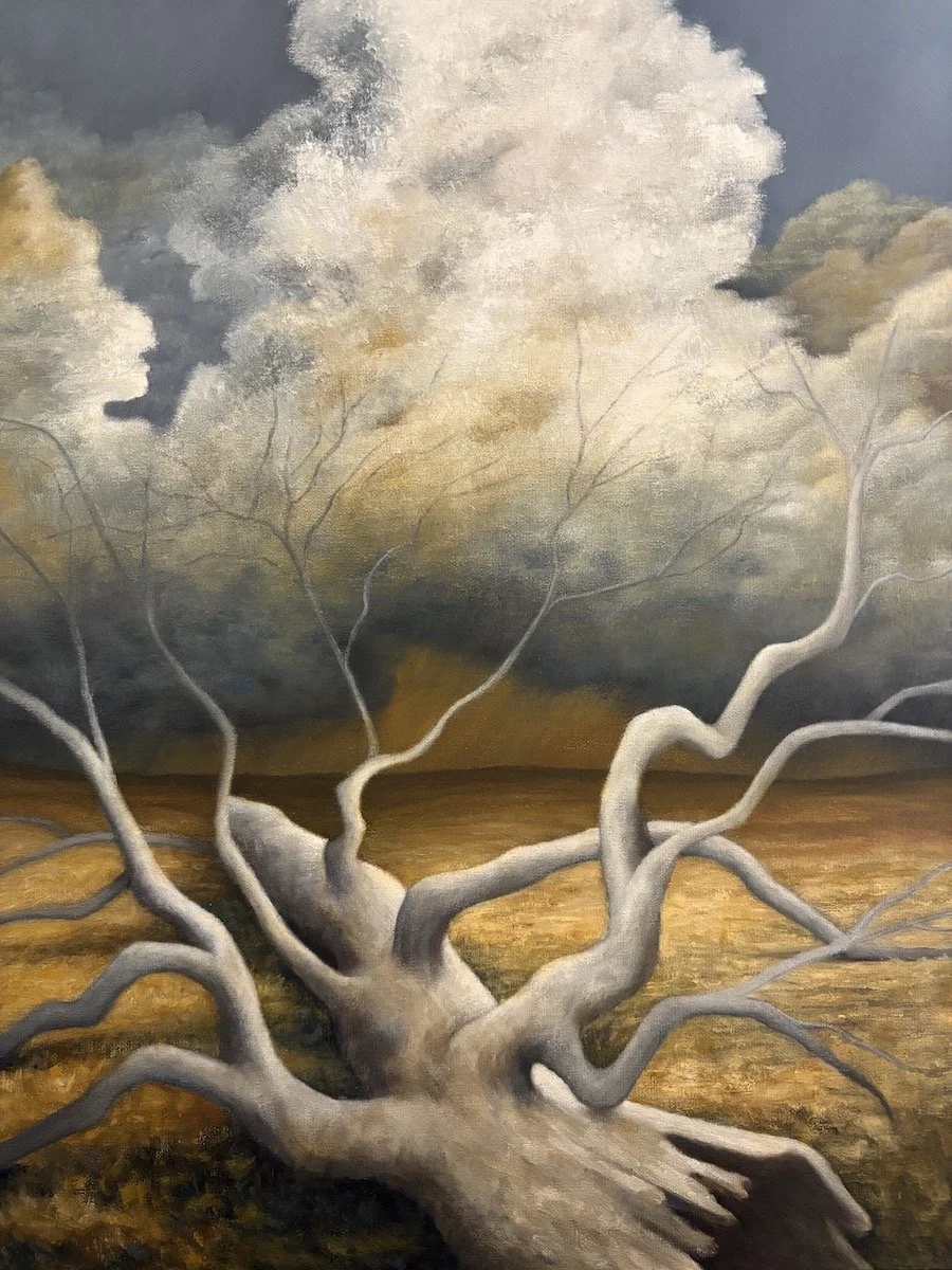 "Storm On The Plains"  by Jill Webber