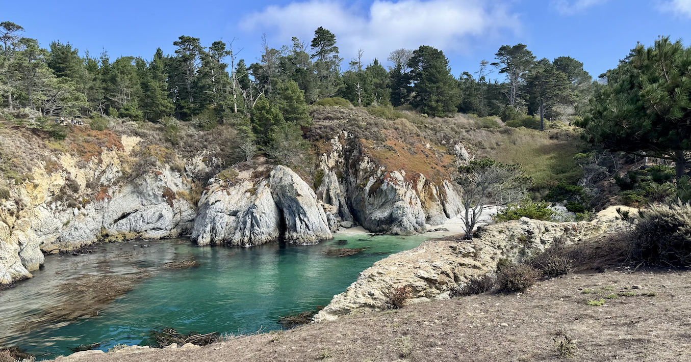 Carmel Sheryl Knight with an incredible view 2025.png