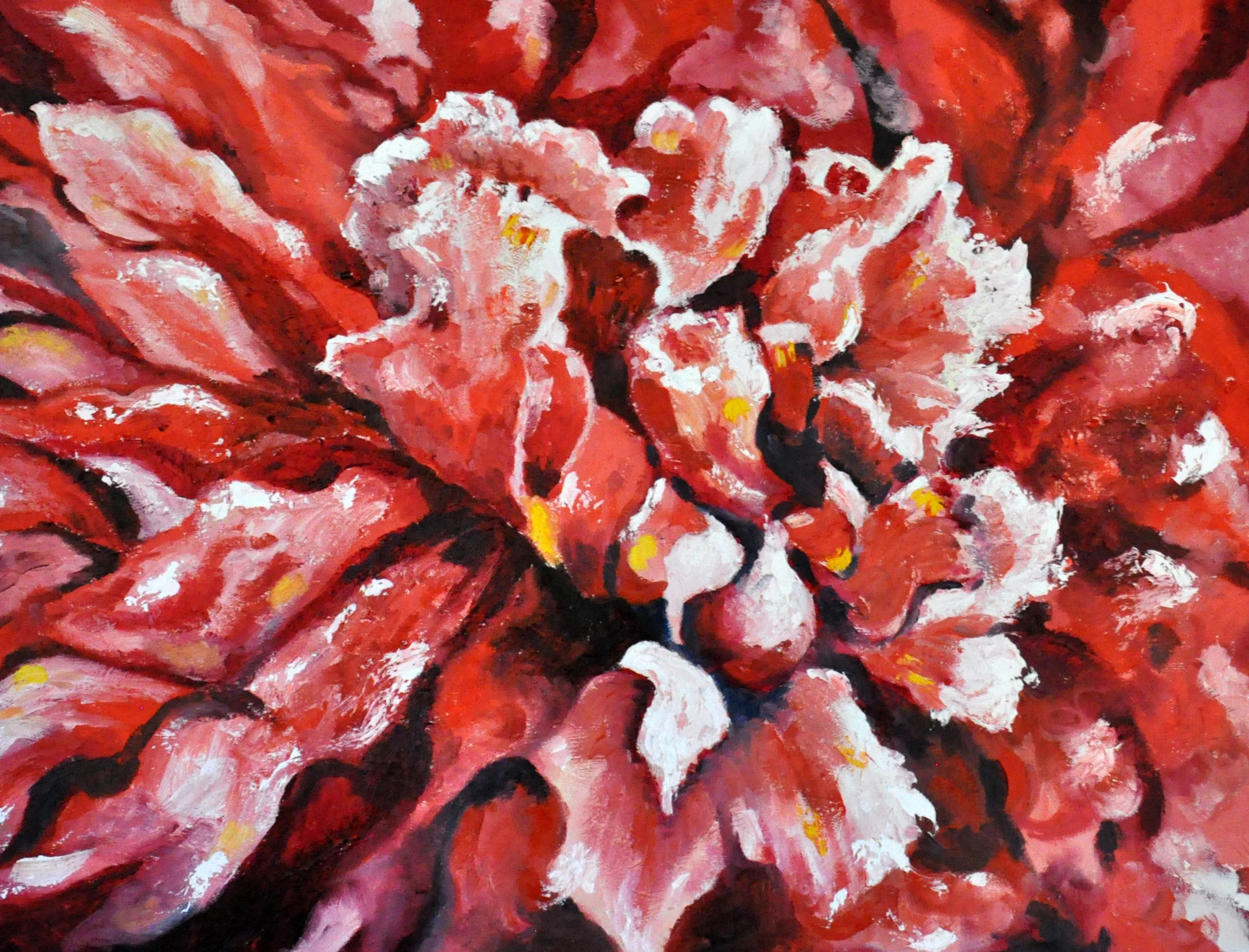 "Crimson"  Oil, by Judy Sprague
