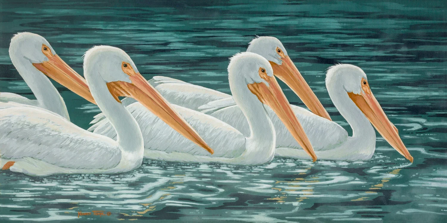 Painting of five pelicans by Nancy Tome