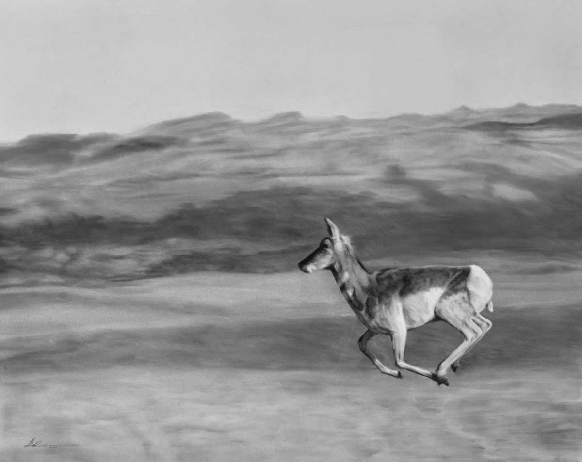 "Run Away" Charcoal, by Amber Scally