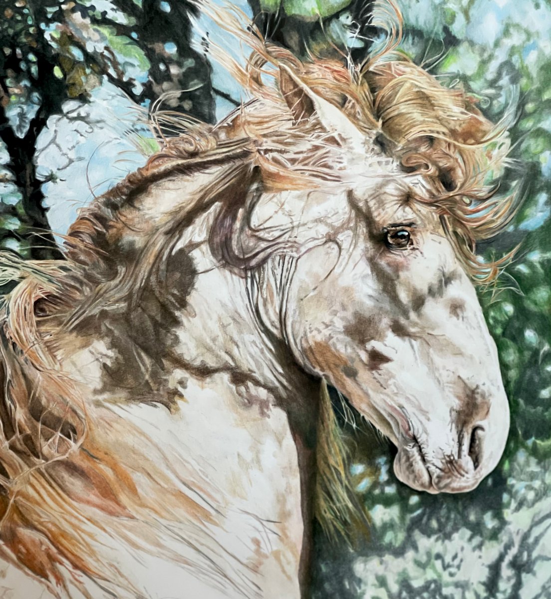 "The Spanish Stallion" Colored Pencil, by Nancy Allen