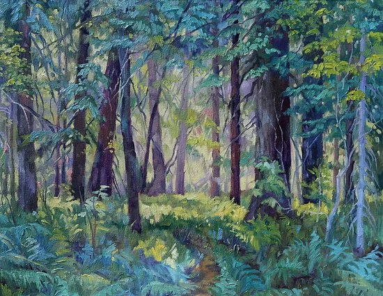 sunlight pouring into this beautiful forest.