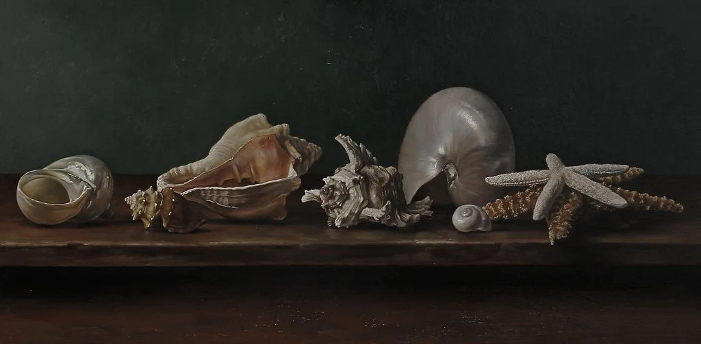 Seashell still life painting by Yun Wei