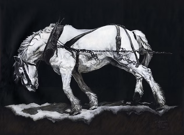 Figurative Horse pulling a load reflecting on our lives.