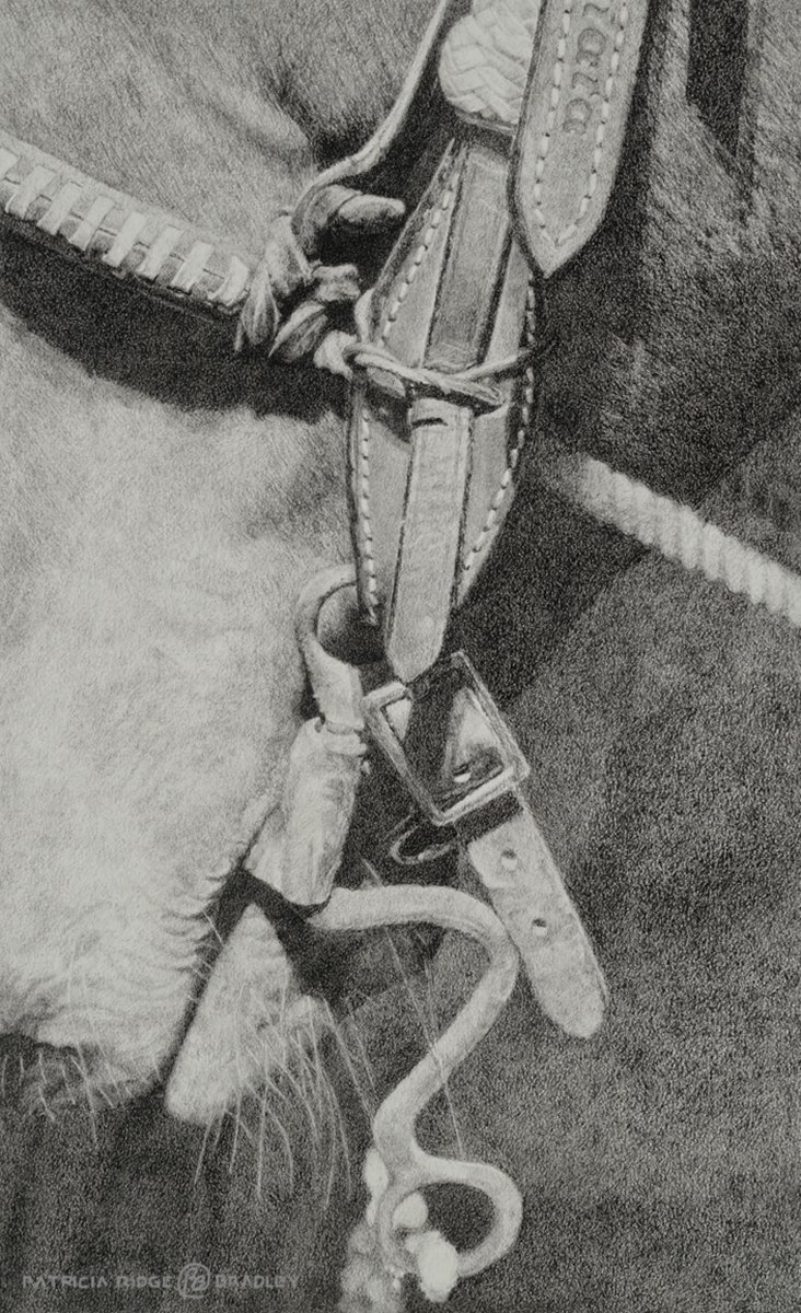 "Chili"  Charcoal, By Patricia Bradley