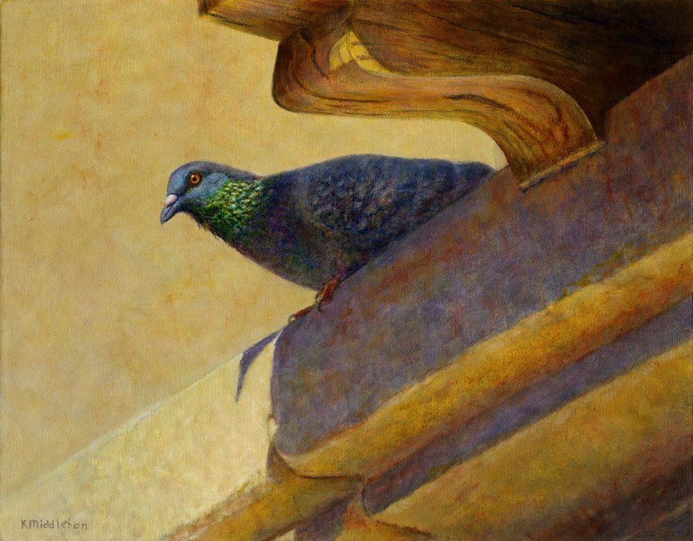 Mission Dove – dove peeking over the ledge of mission roof