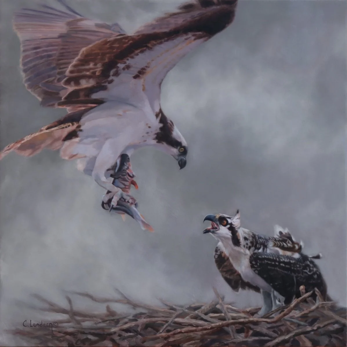 "Provision-Ospreys"  by Carol Lundeen