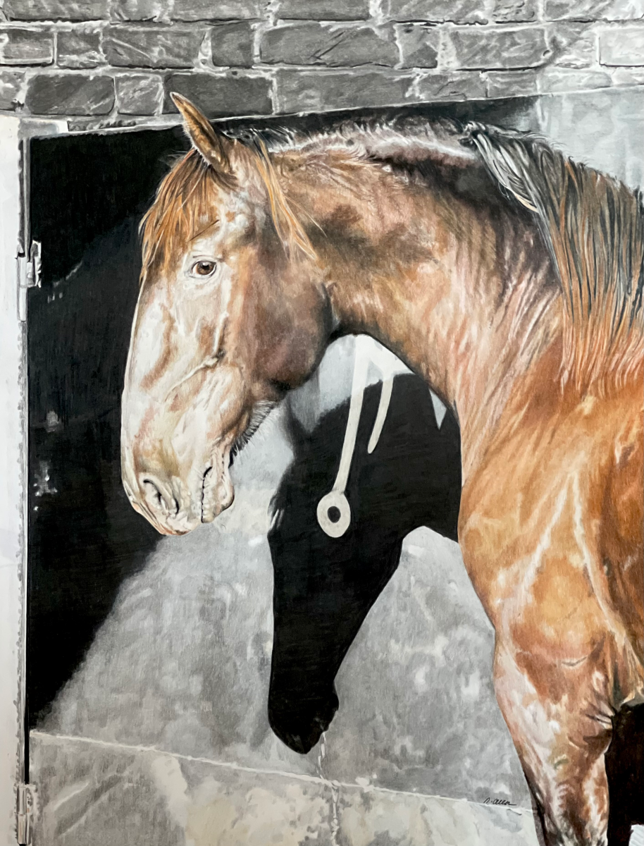 "Pura Raza Espanola" Colored Pencil, by Nancy Allen