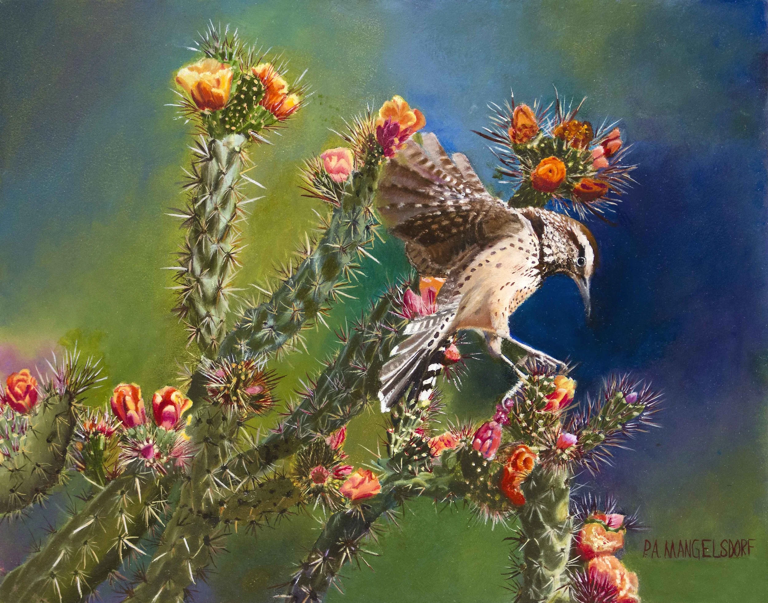 Painting of a cactus wren in cholla by Pamela Mangelsdorf