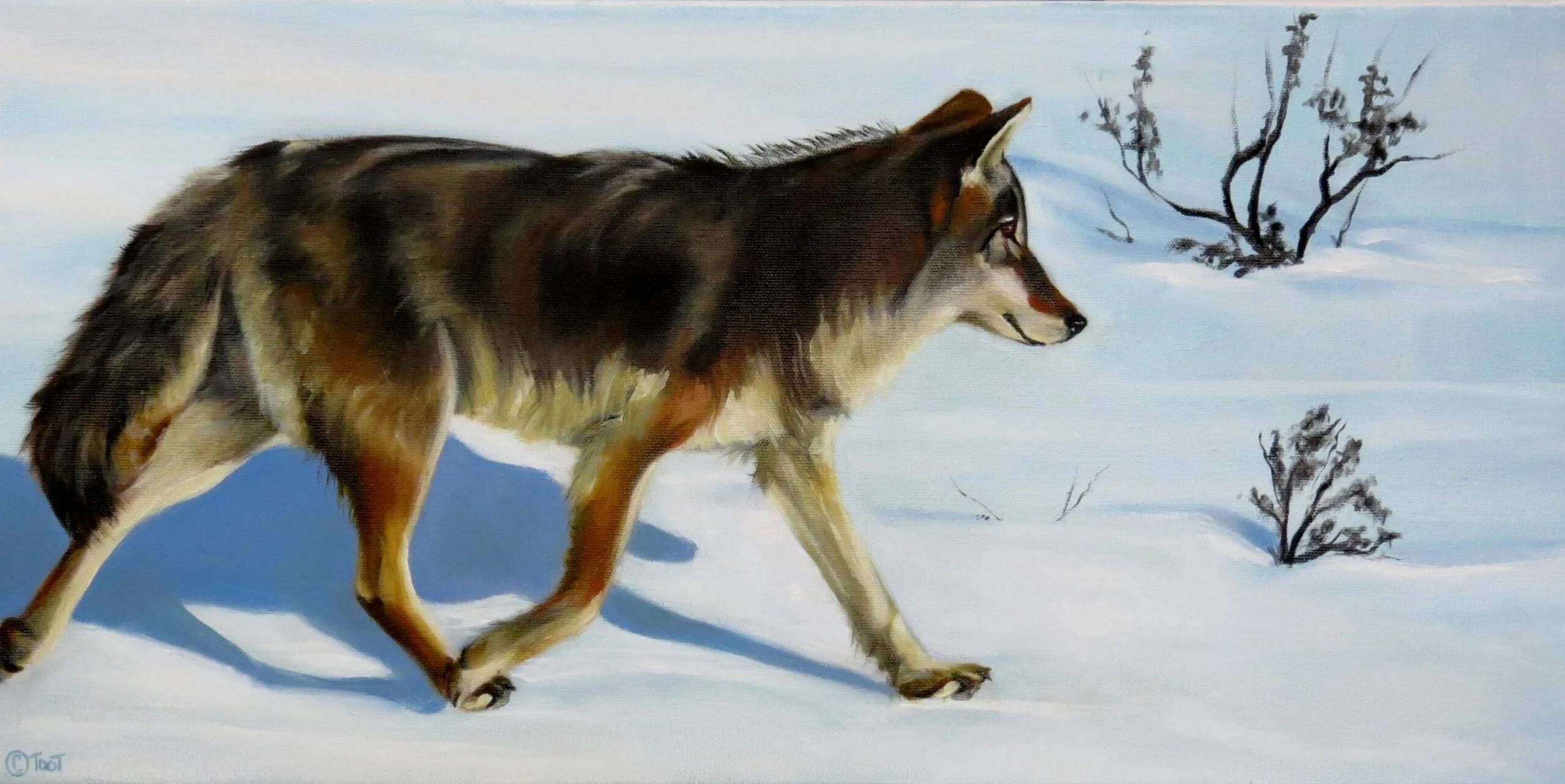 Painting of a wolf by Cathy Toot
