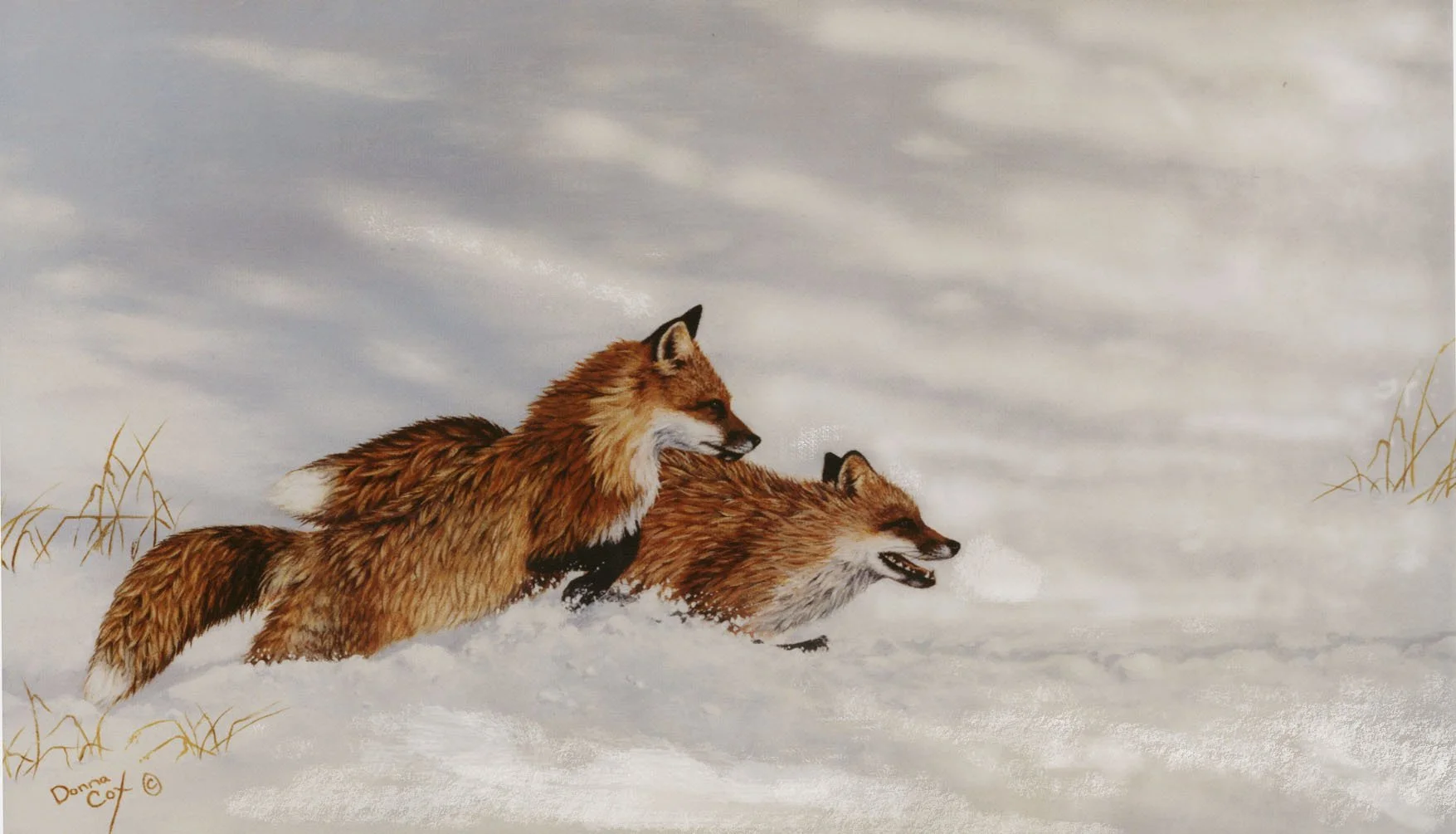 Hot on the Trail by Donna Cox