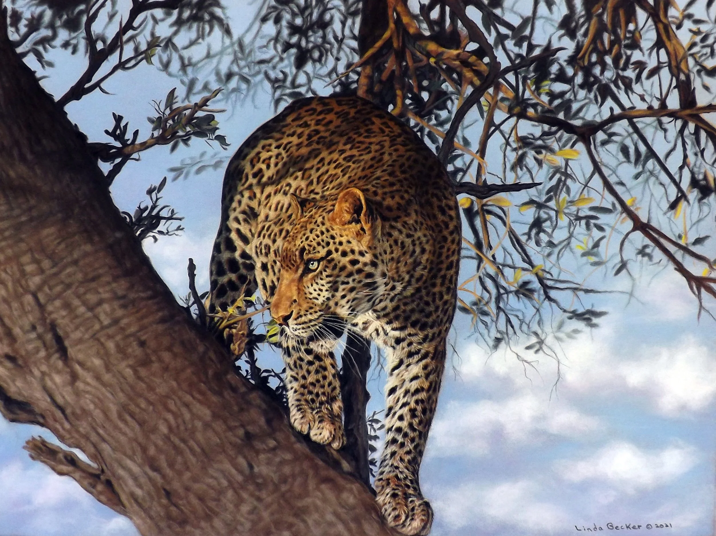 "Vigilance"  By Linda Becker