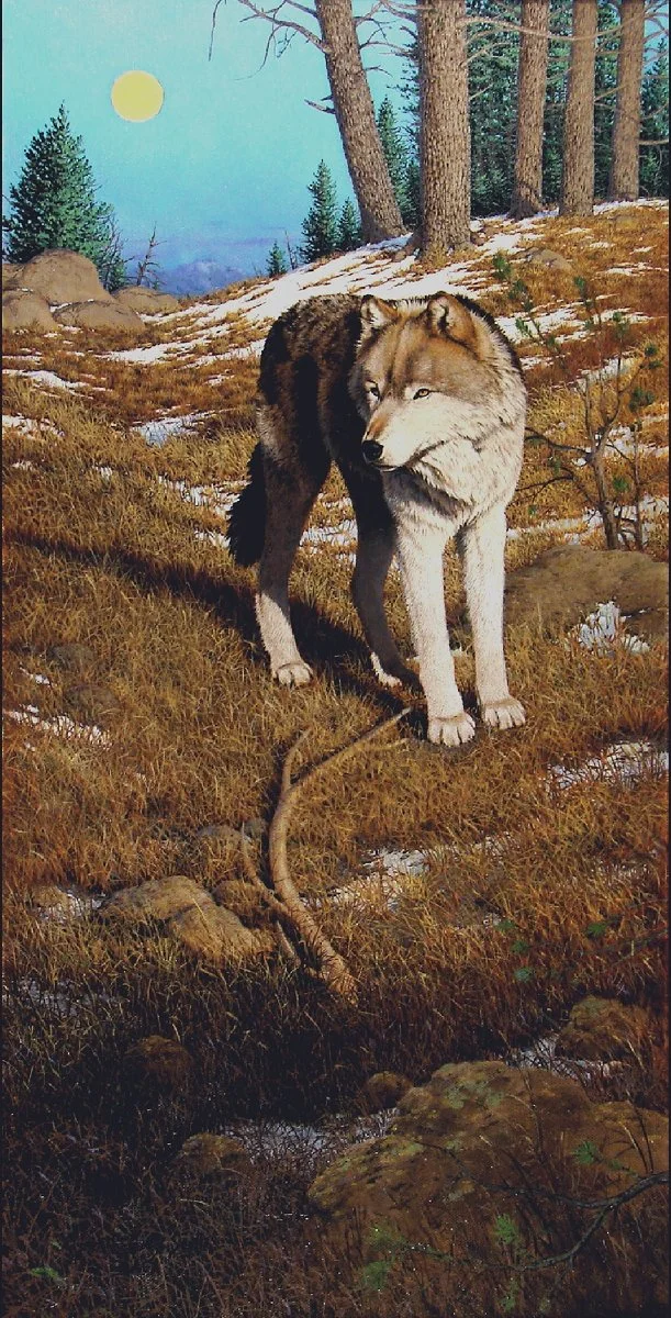 "Transitions" Oil, by Elizabeth Lewis Scott