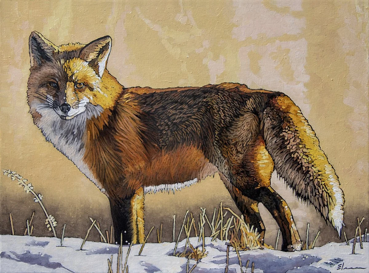 "Unruffled" Oil, by Elise Mahaffie