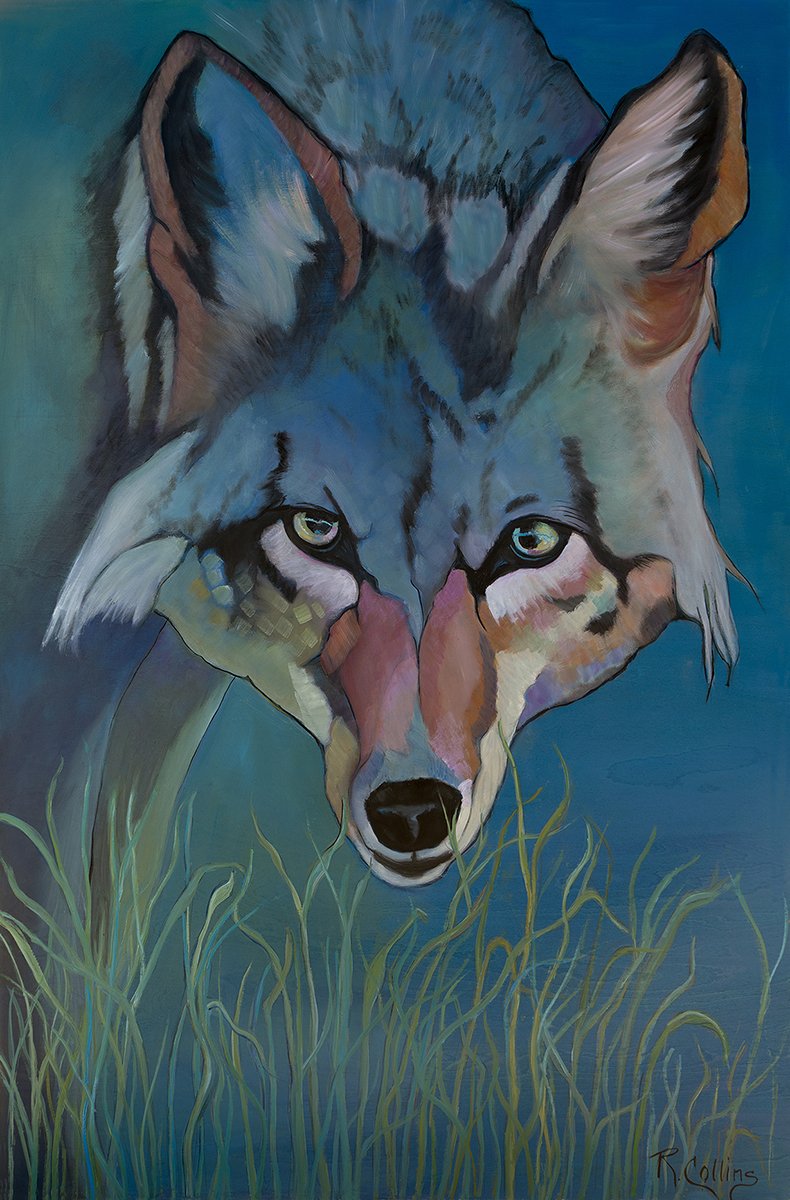"Coyote Blues" Oil,  By Rose Collins