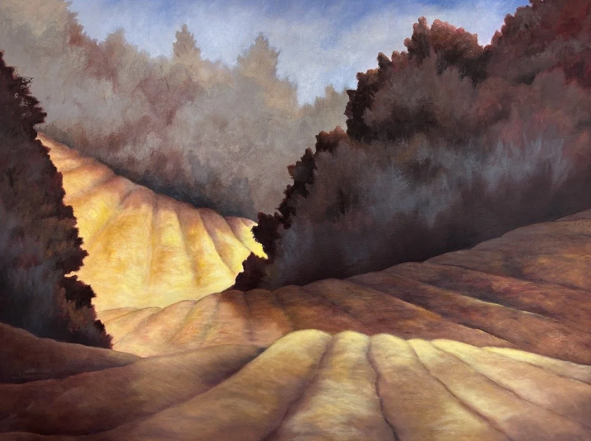 "Rolling Farmland"  by Jill Webber