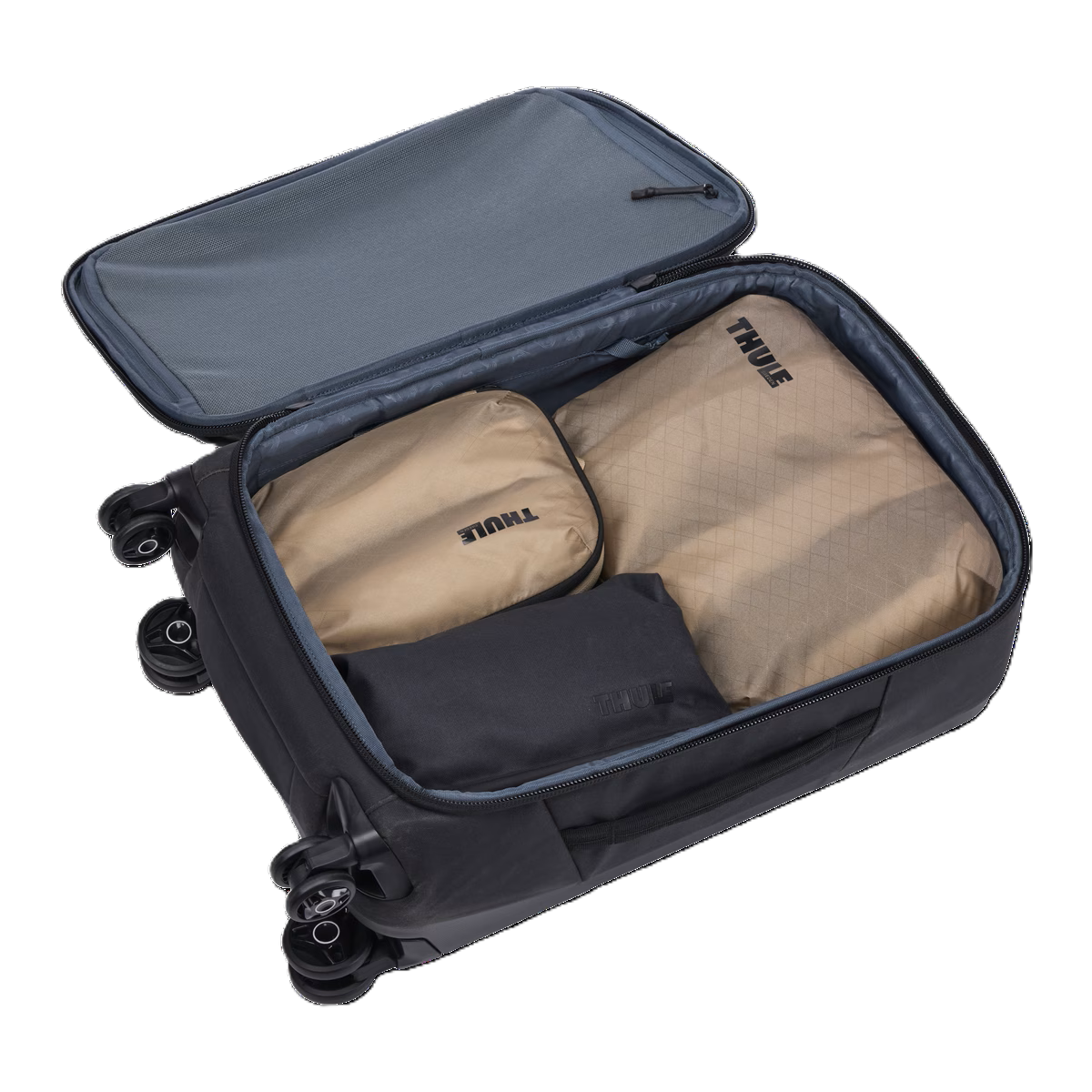 TCCS201 GENTLE BEIGE_5.png