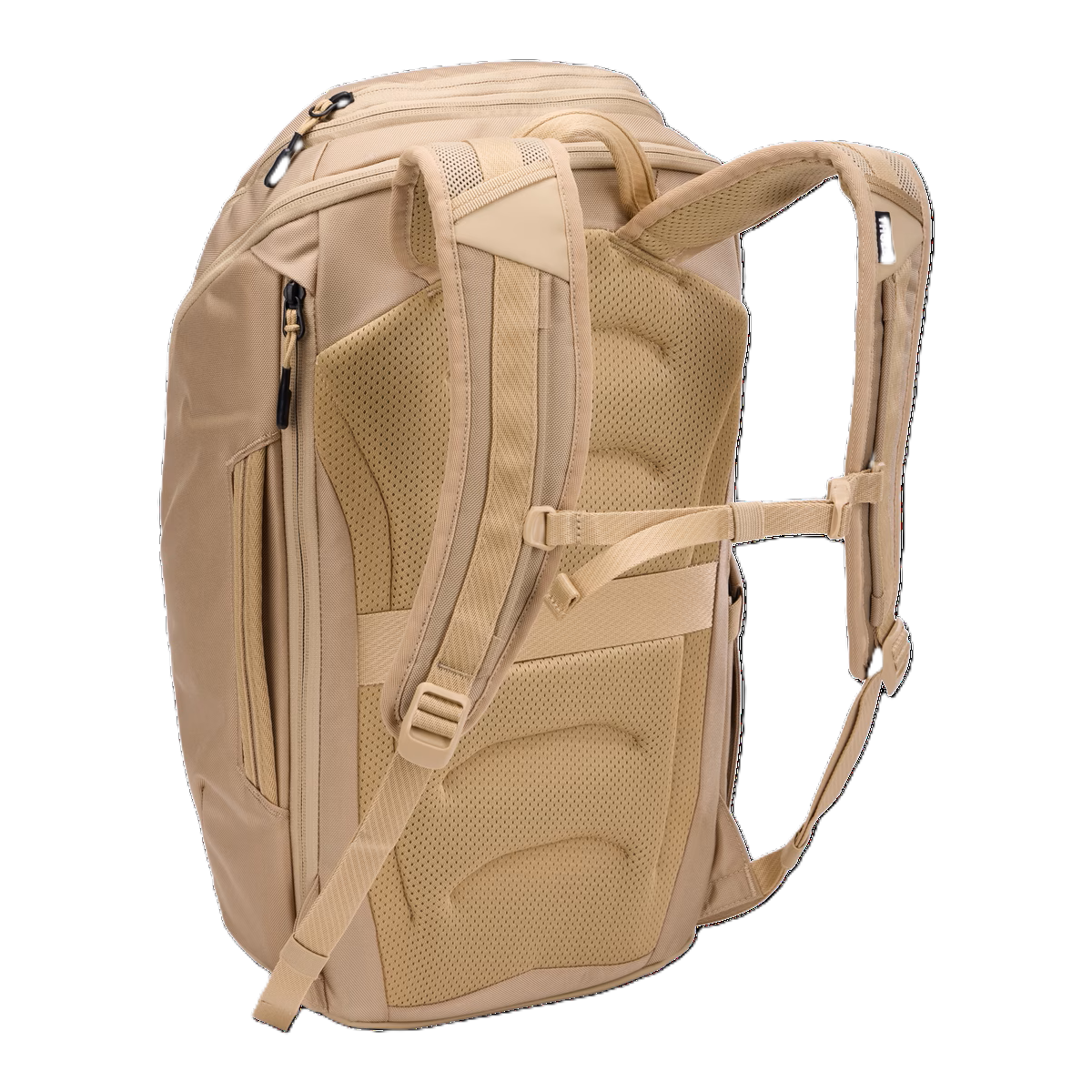 TCHB215 GENTLE BEIGE_2.png