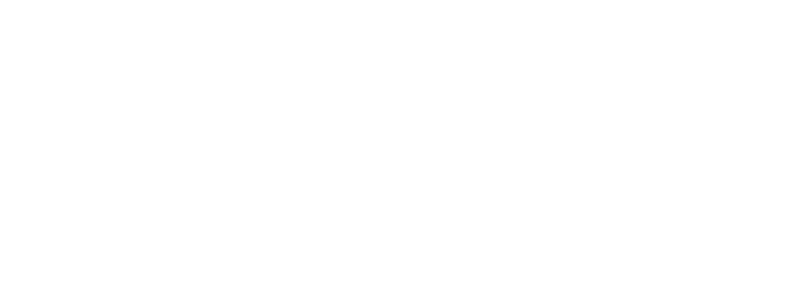 Capital_One-Logo.wine.png
