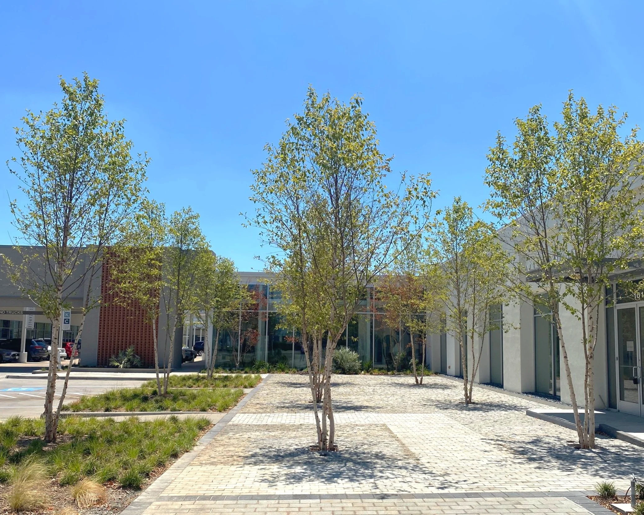Adaptive Reuse In Dallas