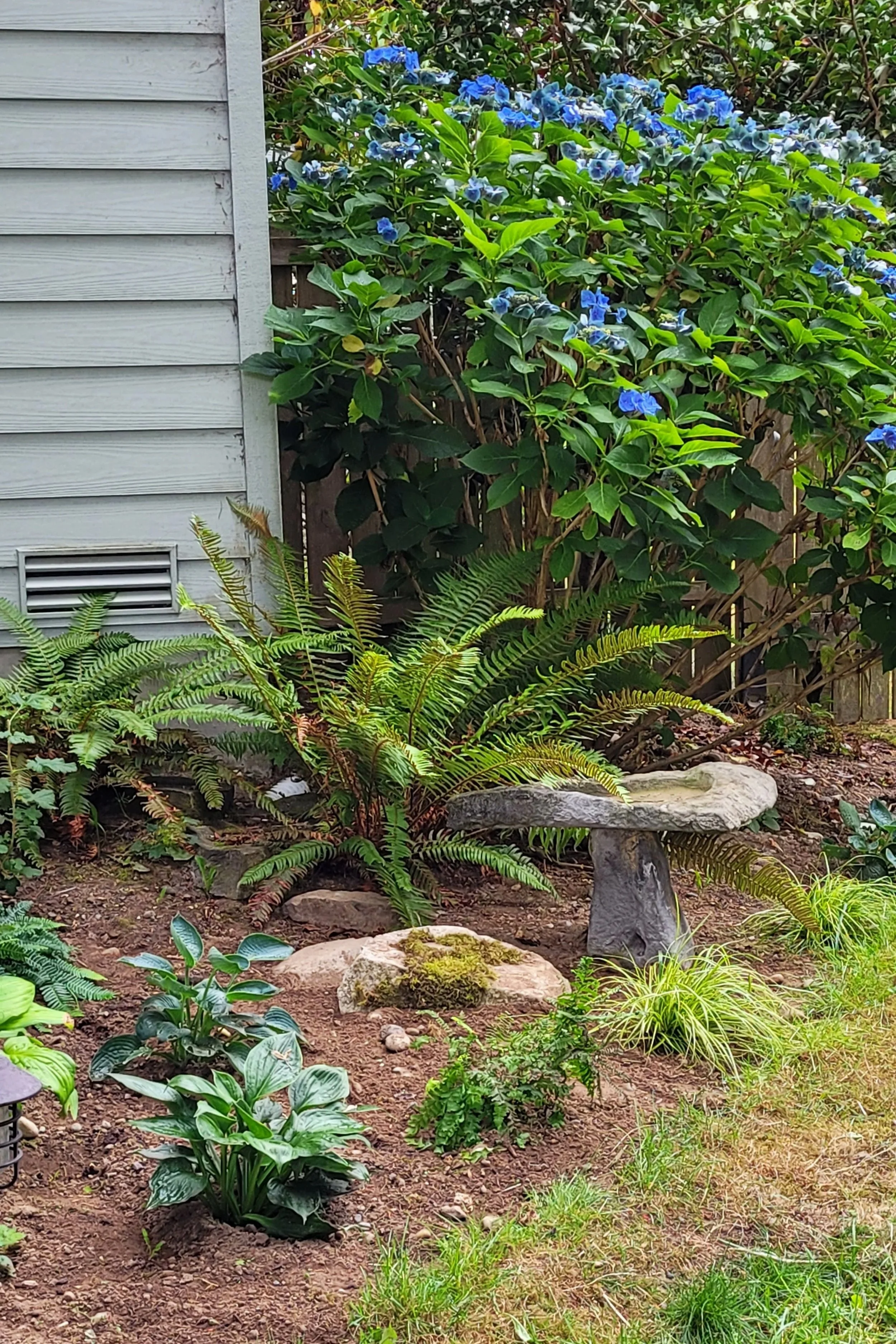 20230904_095009.jpg