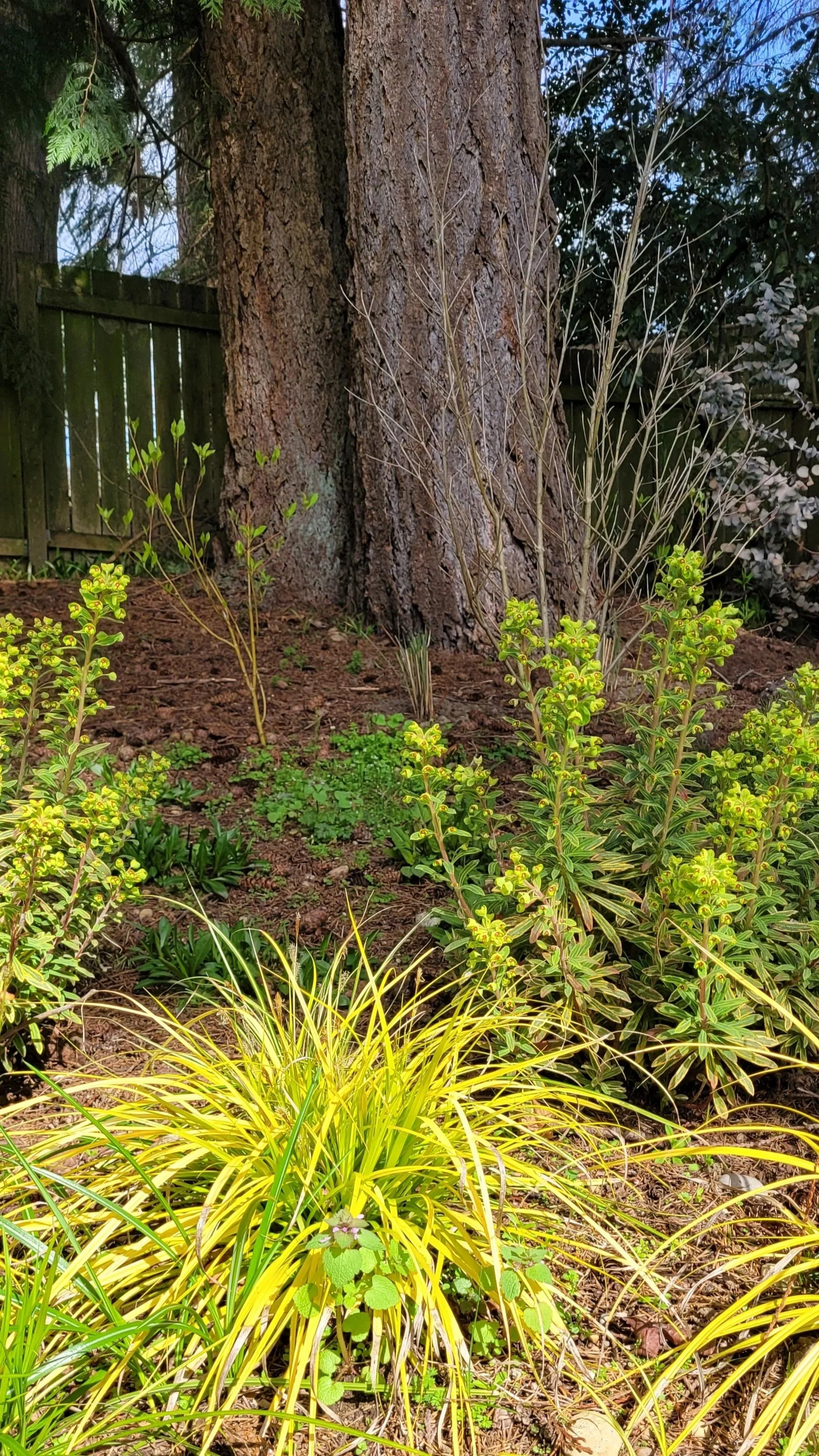 20260322_130646.jpg