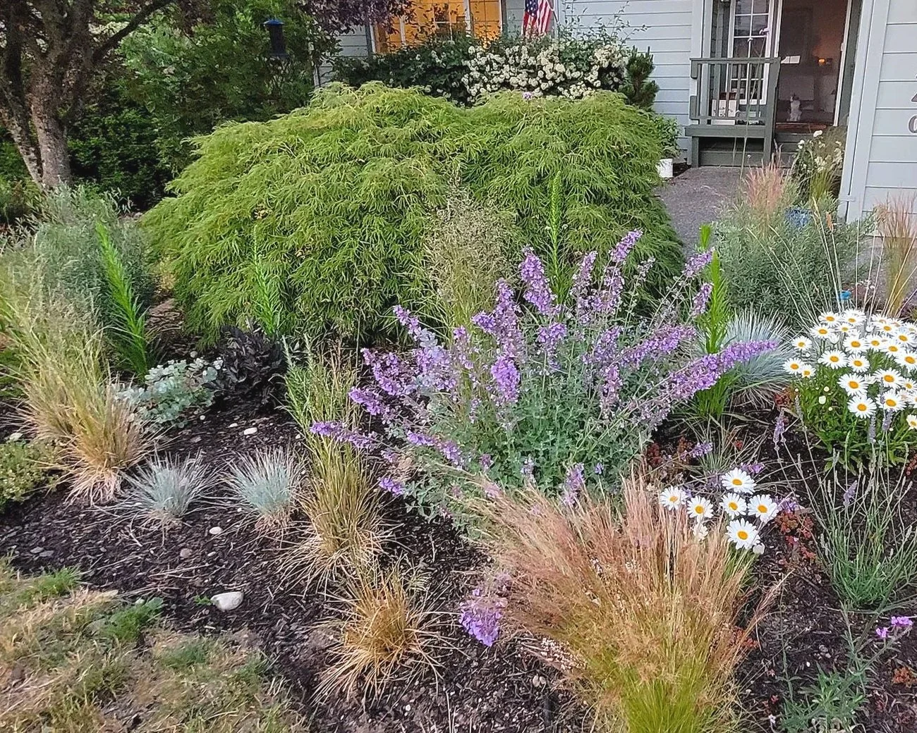 20240702_211031.jpg