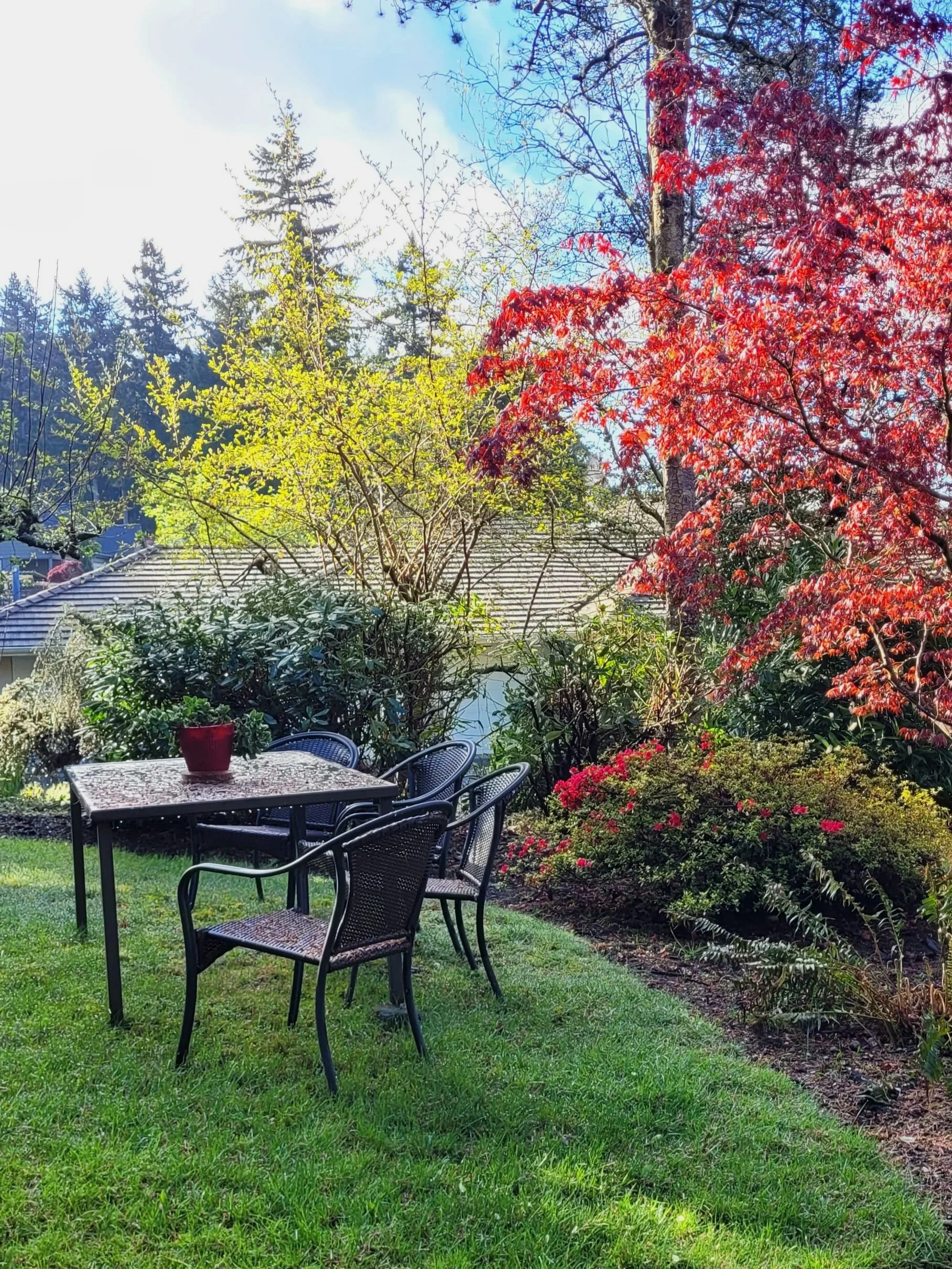 Garden+Seating%2C+Privacy+Garden.jpg