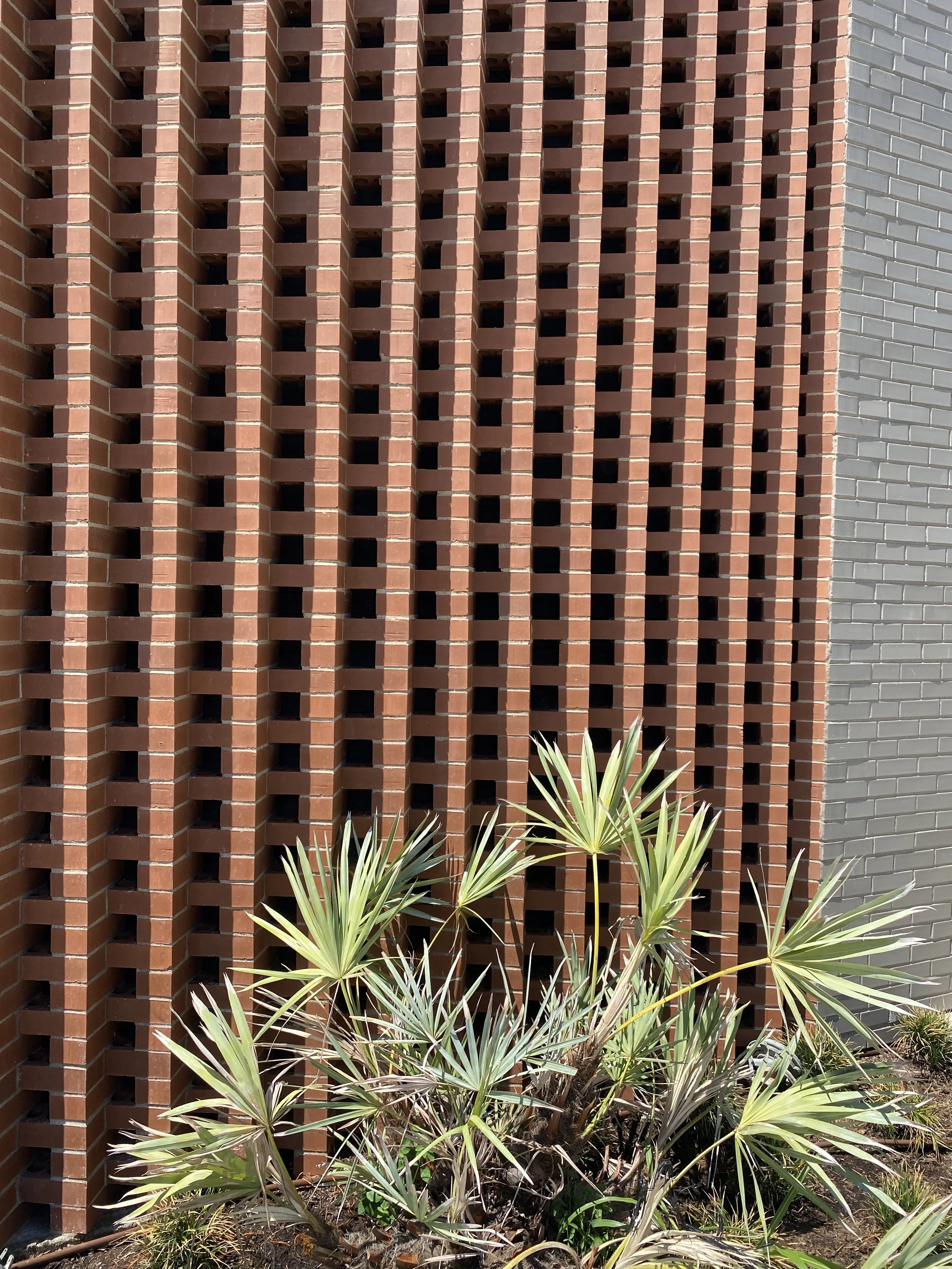 Contemporary wall tiling sets off the native Texas plantings.  This brings a modern streamlined aesthetic to the landscape design.