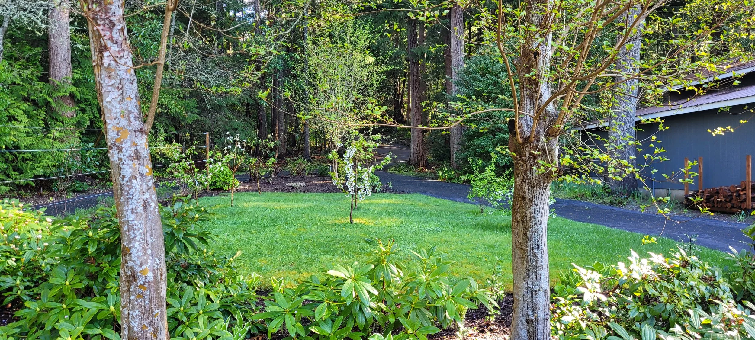 Waterfront Orchard.jpg