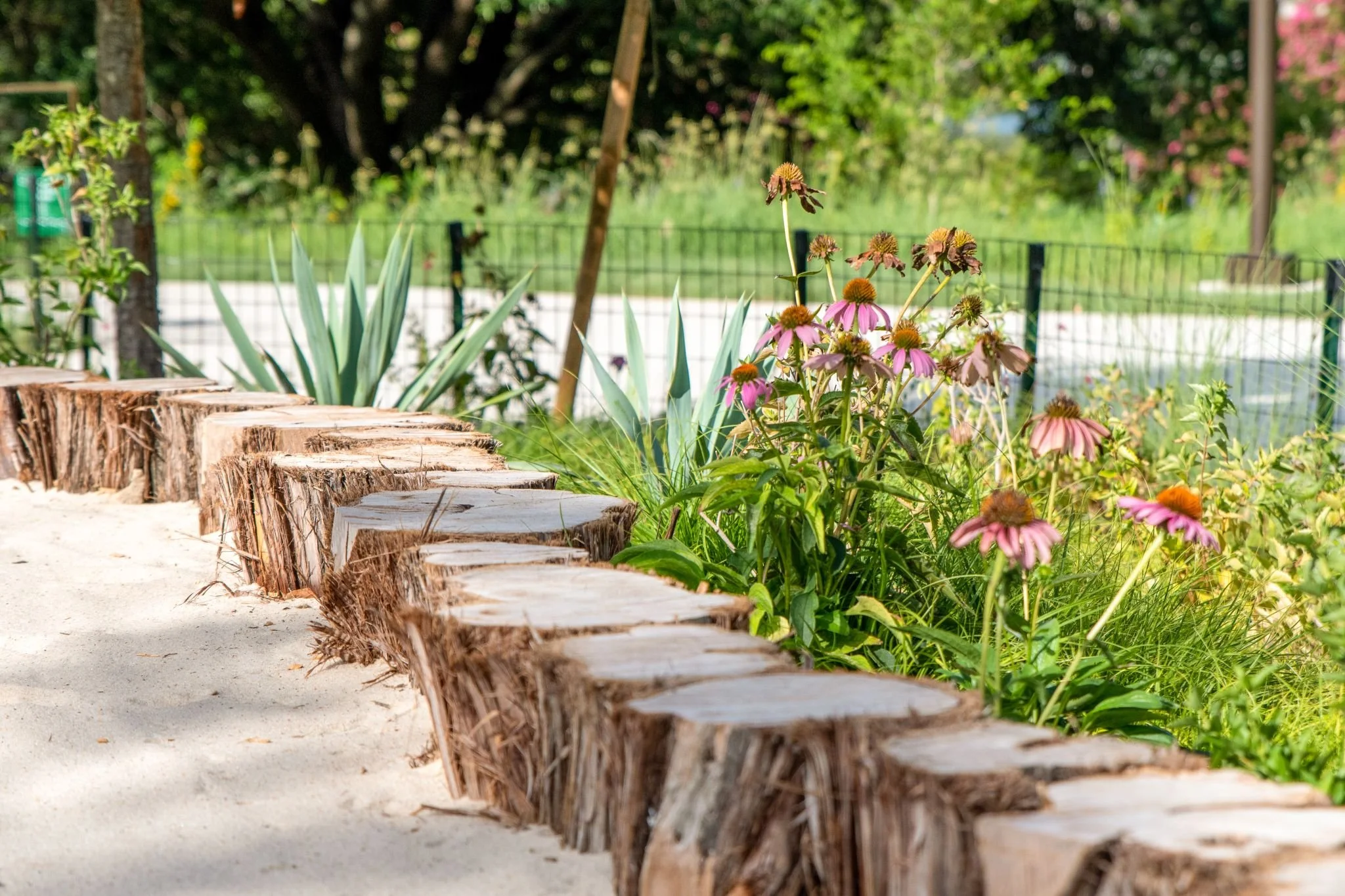 Native plants and cut log stumps form the boundary to a nature play area.